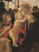 The Virgin and child with John the Baptist (mk05) Sandro Botticelli